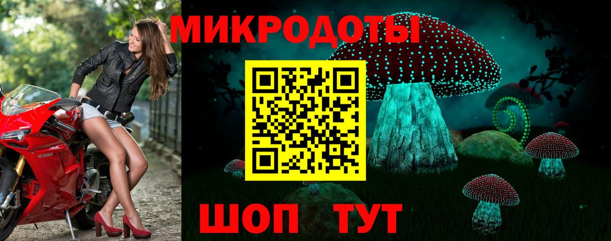 Псилоцибиновые грибы мицелий Заинск