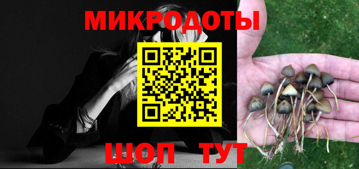 Псилоцибиновые грибы мицелий  Вход с VPN  Заинск 